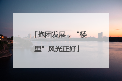 抱团发展，“楼里”风光正好