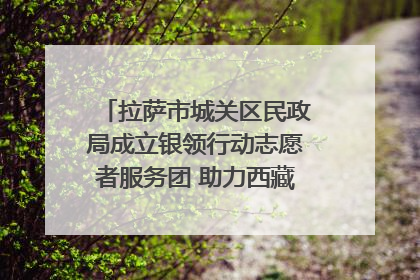 拉萨市城关区民政局成立银领行动志愿者服务团 助力西藏银发经济发展