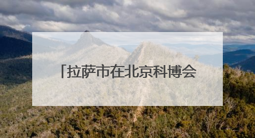 拉萨市在北京科博会首次设立独立展馆 展示高原特色产业