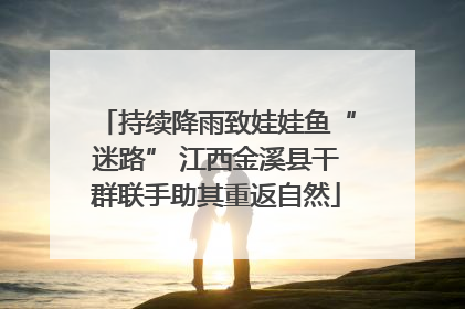 持续降雨致娃娃鱼“迷路” 江西金溪县干群联手助其重返自然