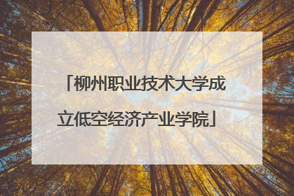 柳州职业技术大学成立低空经济产业学院