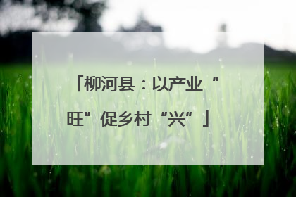 柳河县：以产业“旺”促乡村“兴”