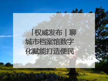 权威发布｜聊城市档案馆数字化赋能打造便民服务新模式