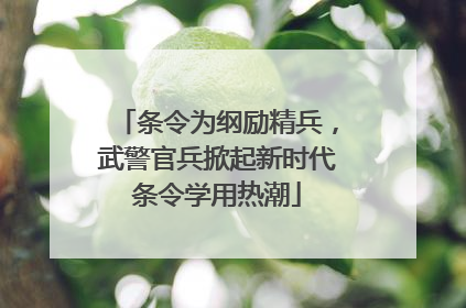 条令为纲励精兵，武警官兵掀起新时代条令学用热潮