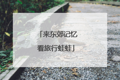 来东郊记忆 看旅行蛙蛙