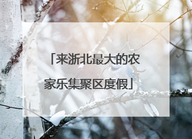来浙北最大的农家乐集聚区度假
