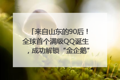 来自山东的90后！全球首个满级QQ诞生，成功解锁“金企鹅”，是继承父亲账号