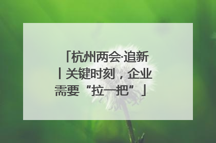 杭州两会·追新丨关键时刻，企业需要“拉一把”