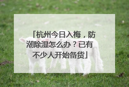 杭州今日入梅，防潮除湿怎么办？已有不少人开始备货