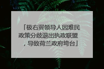 极右翼领导人因难民政策分歧退出执政联盟，导致荷兰政府垮台