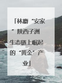 林麝“安家”陕西子洲 生态链上崛起的“黄金”产业