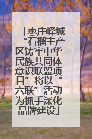枣庄峄城“石榴主产区铸牢中华民族共同体意识联盟项目”将以“六联”活动为抓手深化品牌建设