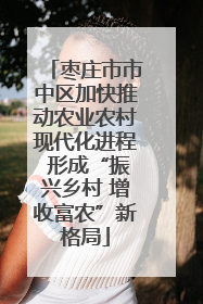 枣庄市市中区加快推动农业农村现代化进程 形成“振兴乡村 增收富农”新格局