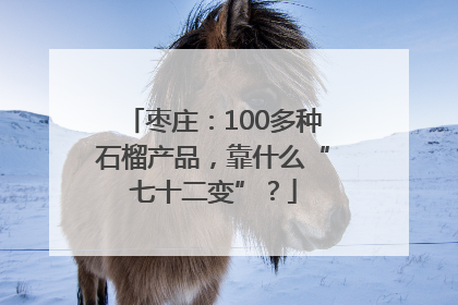 枣庄：100多种石榴产品，靠什么“七十二变”？