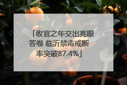 收官之年交出亮眼答卷 临沂禁毒戒断率突破87.4%