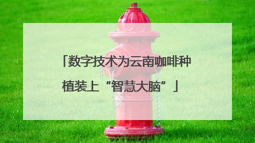 数字技术为云南咖啡种植装上“智慧大脑”