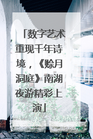 数字艺术重现千年诗境，《赊月洞庭》南湖夜游精彩上演