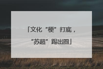 文化“梗”打底，“苏超”踢出圈