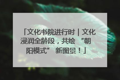文化书院进行时｜文化浸润全龄段，共绘 “朝阳模式” 新图景！