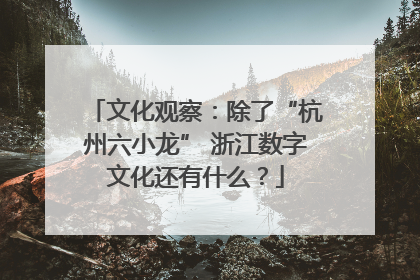 文化观察：除了“杭州六小龙” 浙江数字文化还有什么？