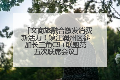 文商旅融合激发消费新活力！镇江润州区参加长三角C9+联盟第五次联席会议