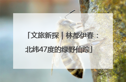 文旅新探｜林都伊春：北纬47度的绿野仙踪