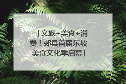 文旅+美食+消费！郏县首届东坡美食文化季启幕