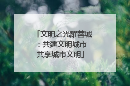 文明之光耀蓉城：共建文明城市 共享城市文明
