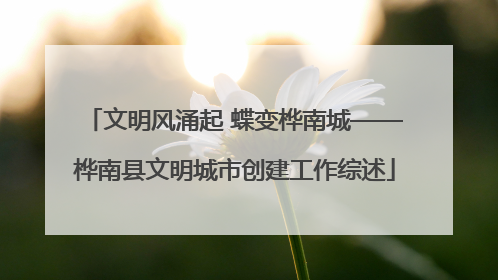 文明风涌起 蝶变桦南城——桦南县文明城市创建工作综述
