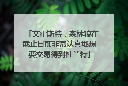 文霍斯特：森林狼在截止日前非常认真地想要交易得到杜兰特