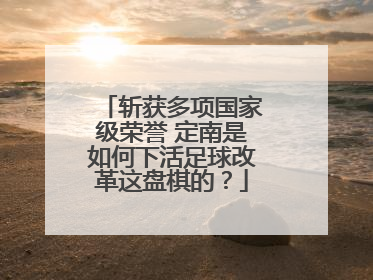 斩获多项国家级荣誉 定南是如何下活足球改革这盘棋的？