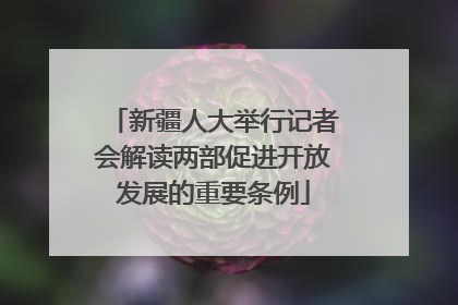 新疆人大举行记者会解读两部促进开放发展的重要条例