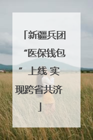 新疆兵团“医保钱包”上线 实现跨省共济