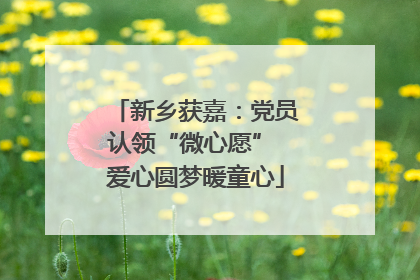新乡获嘉：党员认领“微心愿” 爱心圆梦暖童心