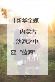 新华全媒+｜内蒙古：沙海之中建“蓝海”