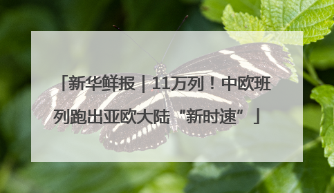 新华鲜报｜11万列！中欧班列跑出亚欧大陆“新时速”