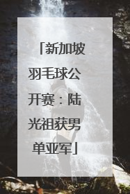 新加坡羽毛球公开赛：陆光祖获男单亚军