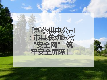 新蔡供电公司：市县联动织密“安全网” 筑牢安全屏障
