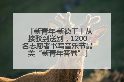 新青年·新德工丨从接驳到送别，1200名志愿者书写音乐节最美“新青年答卷”