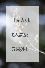 无人机飞入高原寻常处