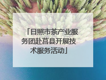 日照市茶产业服务团赴莒县开展技术服务活动