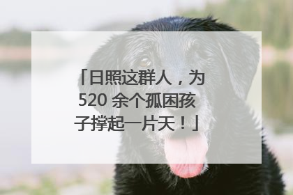 日照这群人，为 520 余个孤困孩子撑起一片天！