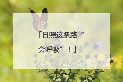 日照这条路“会呼吸”！