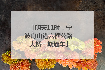 明天11时，宁波舟山港六横公路大桥一期通车