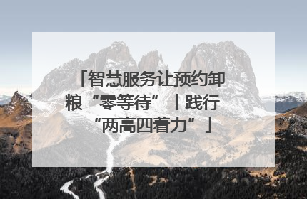 智慧服务让预约卸粮“零等待”丨践行“两高四着力”