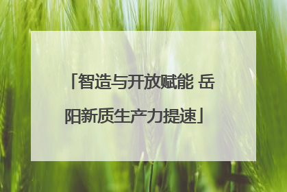 智造与开放赋能 岳阳新质生产力提速