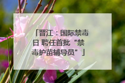 晋江：国际禁毒日 聘任首批“禁毒护苗辅导员”
