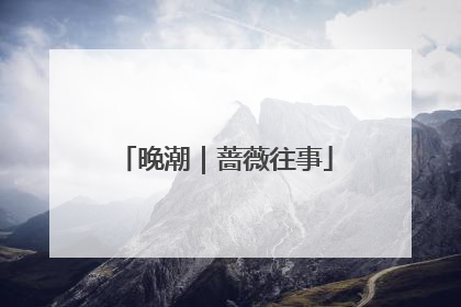 晚潮｜蔷薇往事