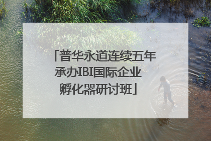 普华永道连续五年承办IBI国际企业孵化器研讨班