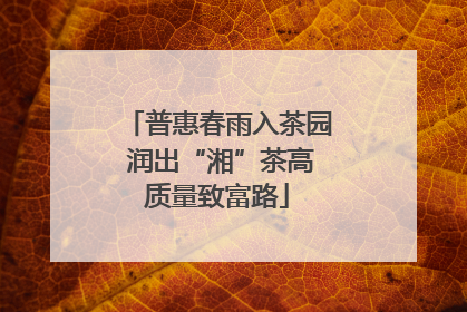 普惠春雨入茶园 润出“湘”茶高质量致富路